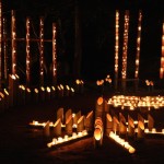 【三池光竹レポート】イベント当日に実際に見に行ってみました