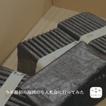 今年最初の福岡のりの入札会が行われたので実際に行ってみました