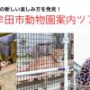 「大牟田市動物園案内ツアー」に参加して新しい楽しみ方を発見！