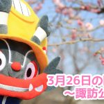 大牟田のお花見スポット諏訪公園で桜の開花状況をチェック【2019年3月26日】