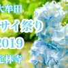 アジサイ祭り2019と朗読会が定林寺（大牟田市）で開催されます