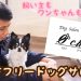 大牟田のドッグサロン「 Øchoir(ゼロ クワイア)」が愛犬家に大人気な理由【PR】