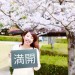 大牟田の桜開花情報！諏訪公園に行ってきました【OMUTA VOGUE】